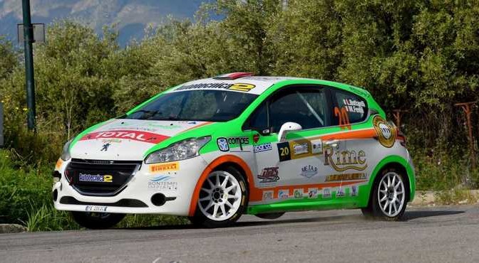 Luca Bottarelli, Manuel Fenoli (Peugeot 208R2 #20, New TurboMark)