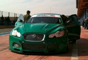 jaguar_2902