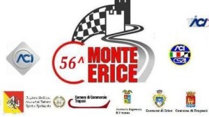 monteerice 0404