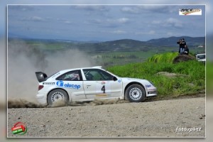 taddei 0104