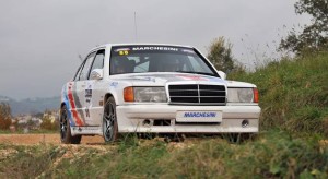 gambin_2011