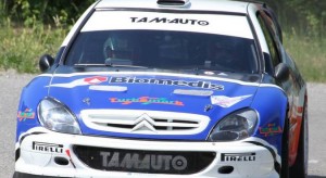 ANGELUCCI_2001