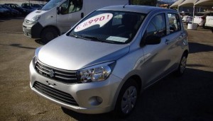 CELERIO1_2302