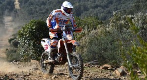 vecchi_1503