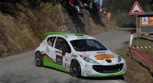 Roberto Vellani, Alice De Marco (Peugeot 207 S2000 #6, Power Car Team)