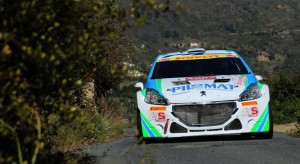 Alessandro Perico, Mauro Turati (Peugeot 208 R5 #1)