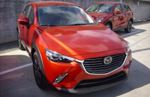 CX31_2006