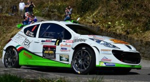 Roberto Vellani, Alice De Marco (Peugeot 207 S2000 #6, Power Car Team)