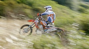 vecchi_0906