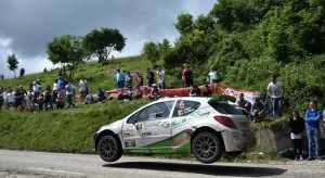 Roberto Vellani, Alice De Marco (Peugeot 207 S2000 #6, Power Car Team)