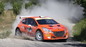 Paolo Andreucci, Anna Andreussi (Peugeot 208 T16 R5 #1)