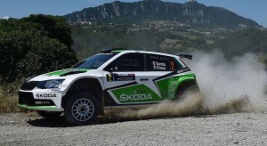 Umberto Scandola, Guido Damore (Skoda Fabia R5 #2, Car Racing)