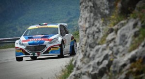 peugeot208_2408