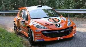 Simone Campedelli, Danilo Fappani (Peugeot 207 S2000 #6, Accademy Asd)