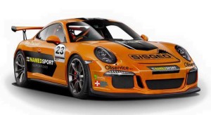 Porsche_0209