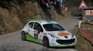 Roberto Vellani, Alice De Marco (Peugeot 207 S2000 #6, Power Car Team)