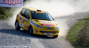 Elisa_2011