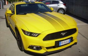 MUSTANG1_2405