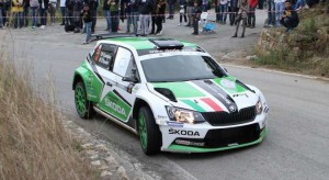 Umberto Scandola, Guido Damore (Skoda Fabia R5 #3, Car Racing)