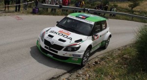 Umberto Scandola, Guido Damore (Skoda Fabia S2000 #2, Car Racing)