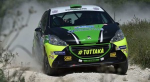 Marco Pollara, Giuseppe Princiotto (Peugeot 208 R R2B #42, Cst Sport Srl)