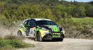 POLLARA_21408
