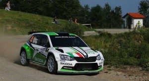 Umberto Scandola, Guido Damore (Skoda Fabia R5 #2, Car Racing)