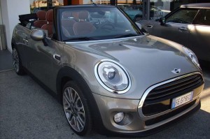 MINICABRIO1_1609