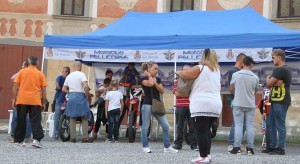 Pellicorse_2709