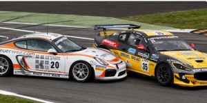 Senza_2009