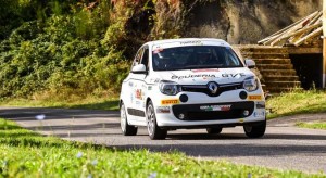 twingo_2509
