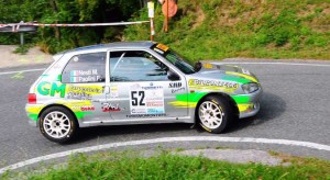 valli2_0309