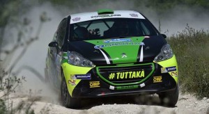 Marco Pollara, Giuseppe Princiotto (Peugeot 208 R R2B #42, Cst Sport Srl)