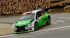 michelini_1208