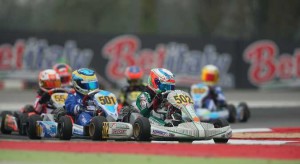 antonelli_0611