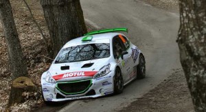 carella_1204