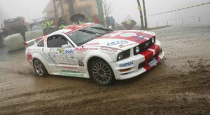 mustang_0205