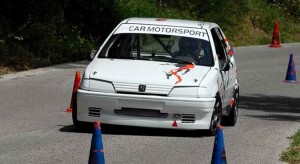 car_3006