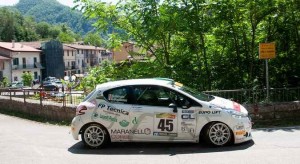 guglielmini_1007