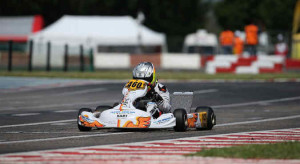 fornaroli_1309