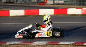 fluxa_2002