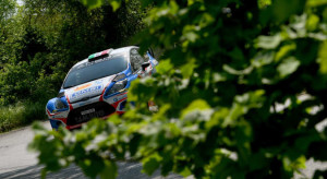 Stefano Albertini, Danilo Fappani (Ford Fiesta WRC #1, Mirabella Mille Miglia)