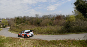 Corrado Fontana, Nicola Arena (Hyundai i20 WRC #1. Bluthunder)