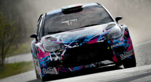 Miele Simone, Roberto Mometti (Citroen DS3 WRC #2, Giesse Promotion)