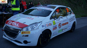 trevisani_12303