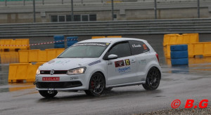 brambilla_2011
