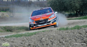 nicelli_2011