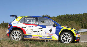 cavallini_2009