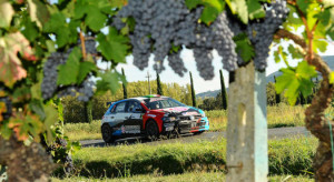 santini_2307