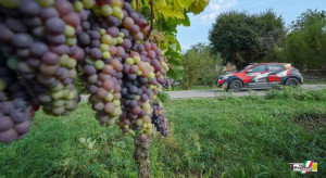 millemiglia_3108